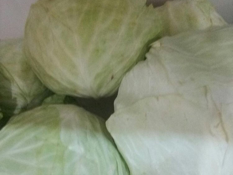 大莲白