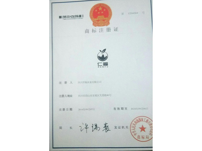 星耀国际 31d91