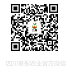 星耀国际 0da25