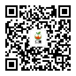 星耀国际官方网站图片