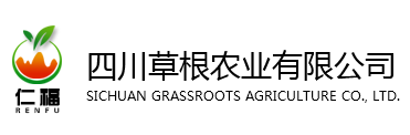 星耀国际 8de67